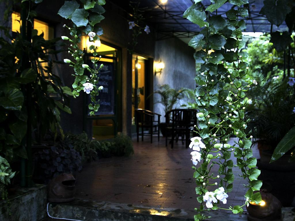 Margo Utomo Eco Resort Kalibaru Екстер'єр фото