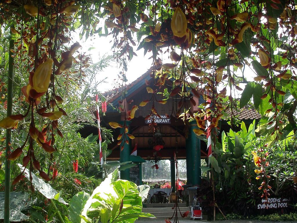Margo Utomo Eco Resort Kalibaru Екстер'єр фото