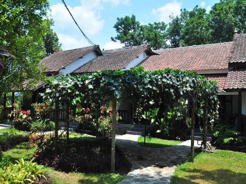 Margo Utomo Eco Resort Kalibaru Екстер'єр фото